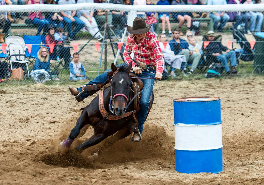 Breaking and training horses Echuca