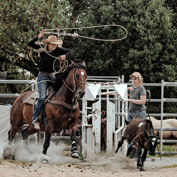 Roping-and-barrel-racing-echuca